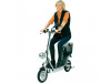 Tante Paula Ferdinand 2, gebraucht, 500W Motor, 20km/h